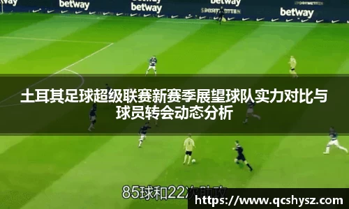 三亿体育官方网址
