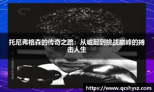 三亿体育全站