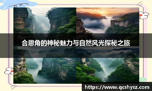 三亿体育网站