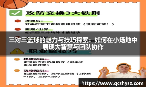 三亿体育全站