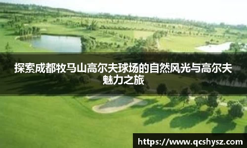 三亿体育官方网址