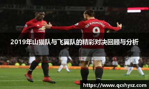 2019年山猫队与飞翼队的精彩对决回顾与分析